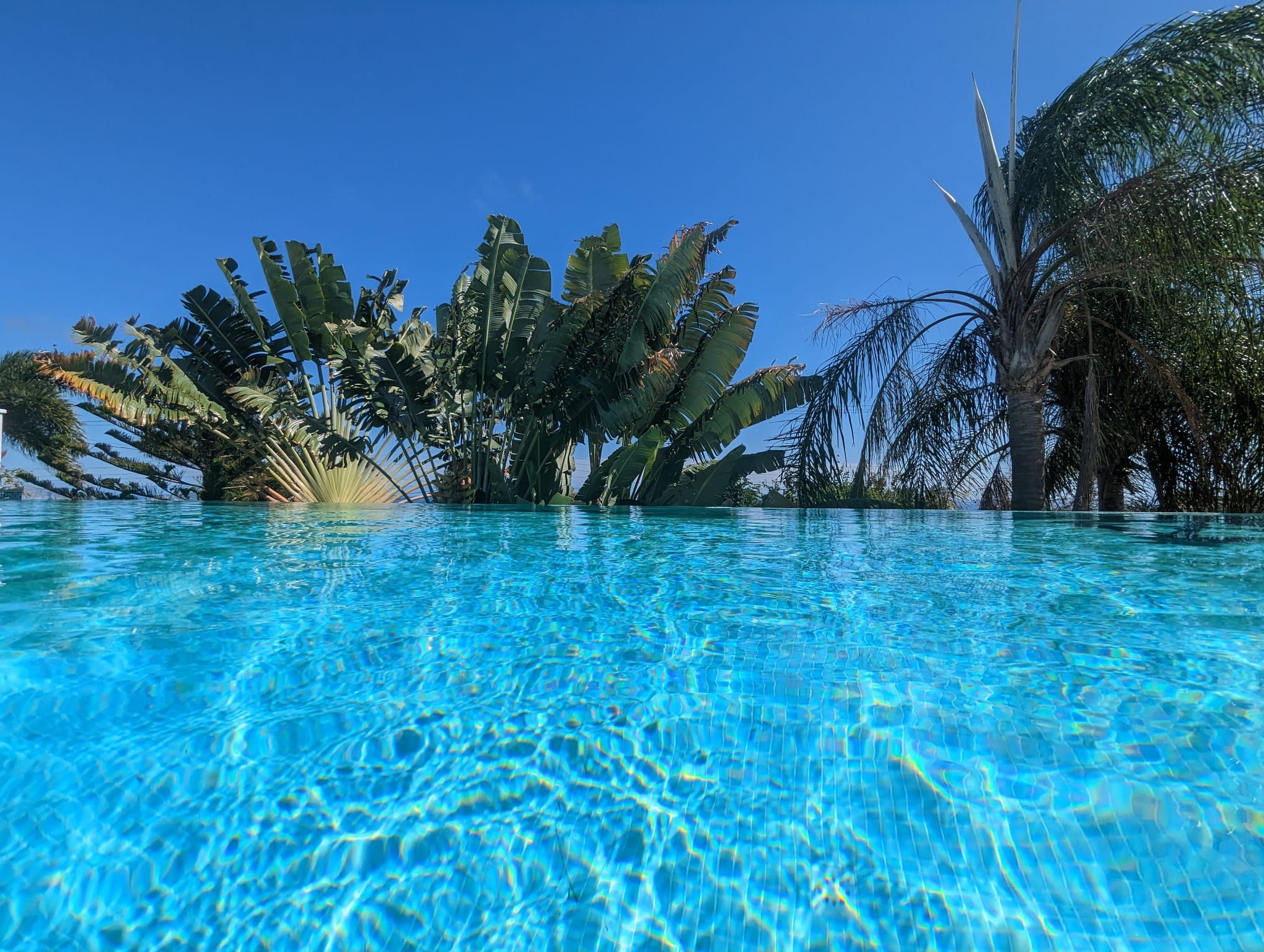 Palm Villa in Mt. Pleasant, Bequia — luxury rental villa with an infinity pool overlooking a lush tropical garden, featured on the Real Grenadines website.