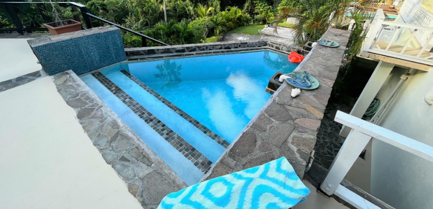 Shared plunge pool with sunbathing terrace and Caribbean Sea views at Aqua on Bequia. Photo