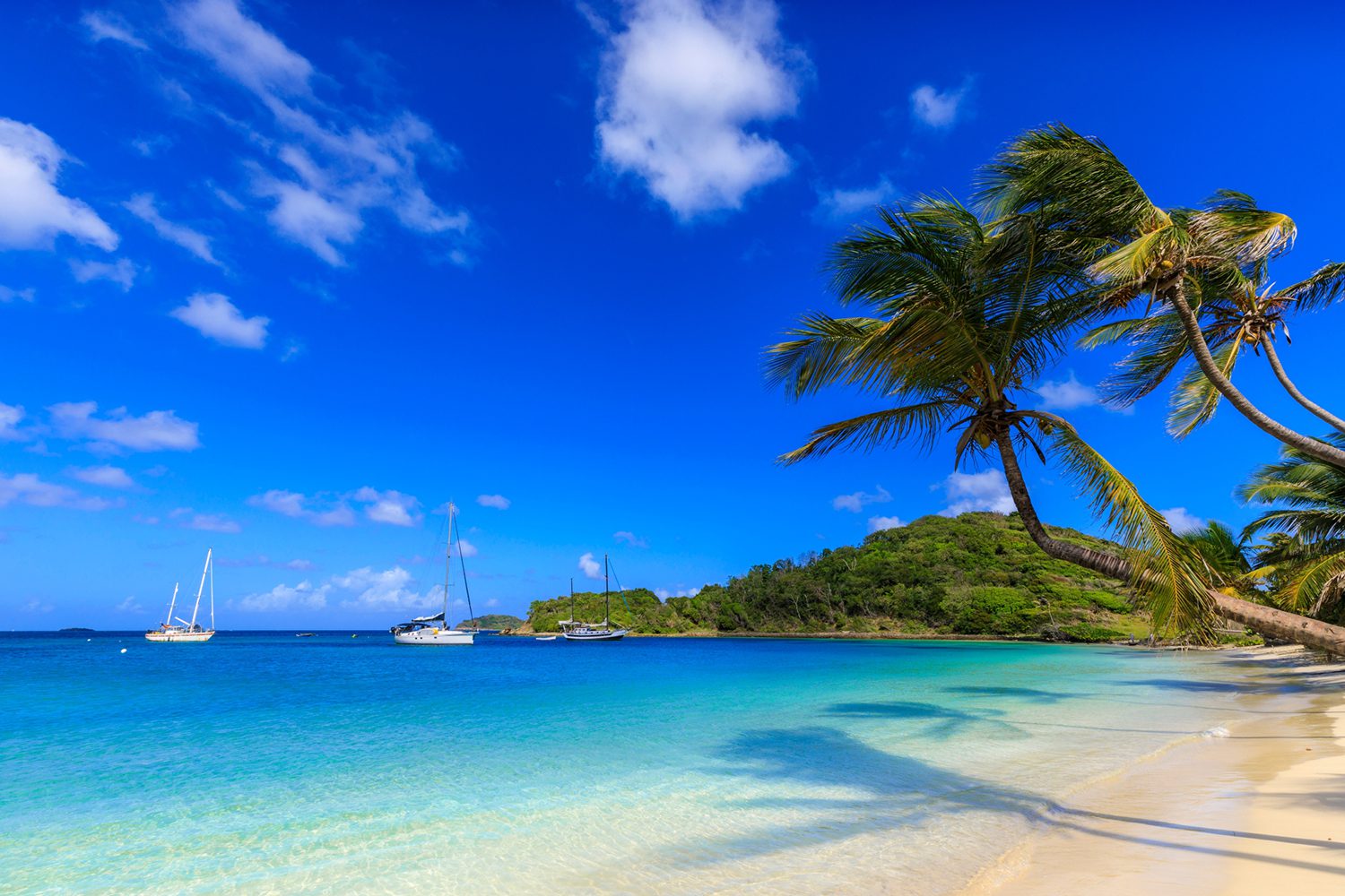 15 Fun Facts That You Never Knew About The Caribbean